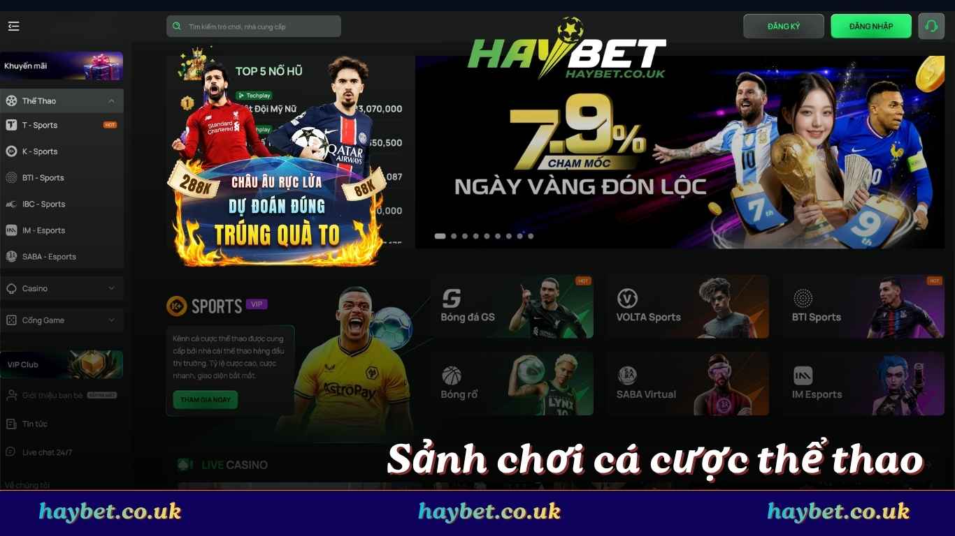 Cá cược thể thao đỉnh cao trên nhà cái Haybet