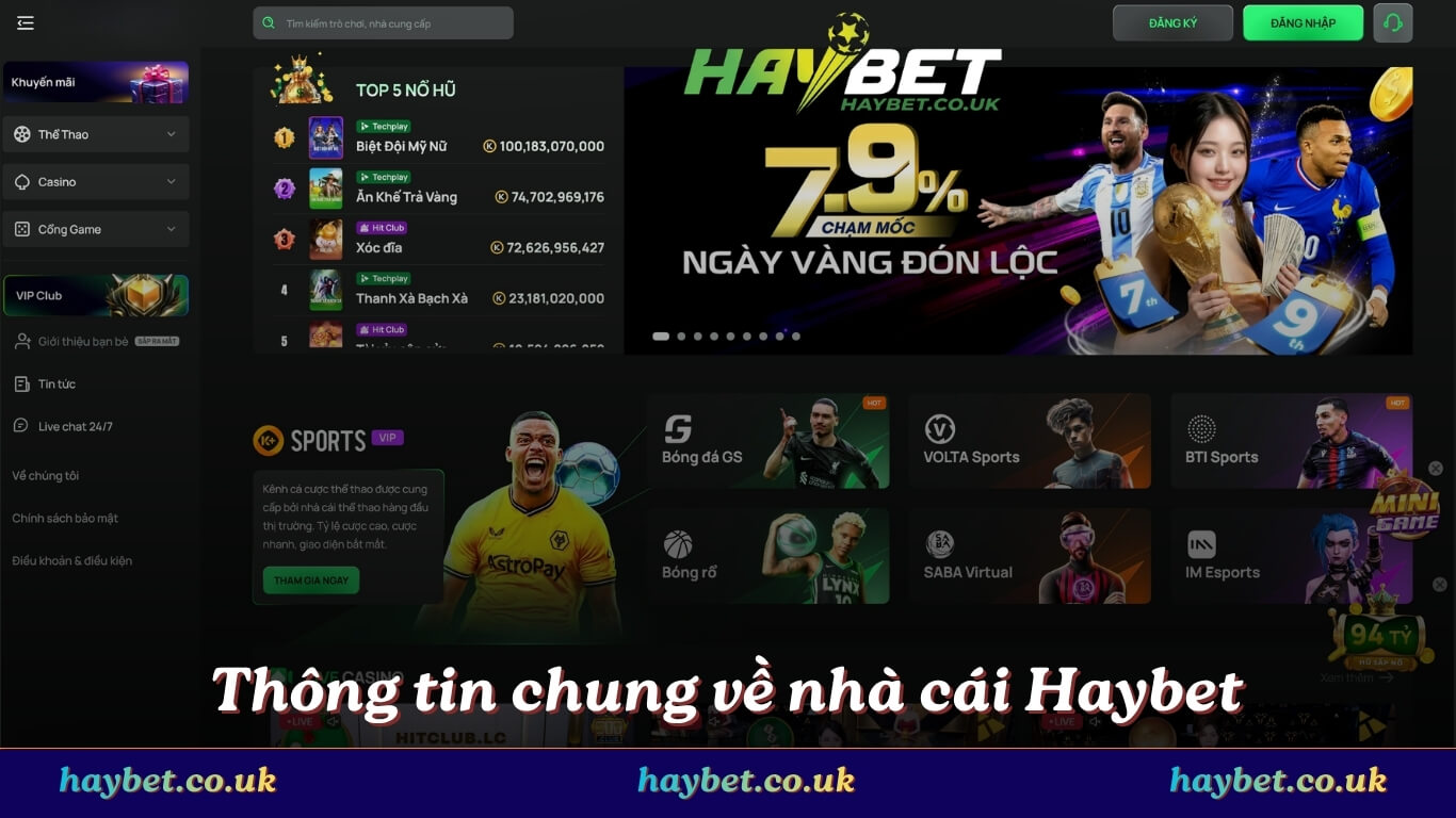 Thông tin chung về nhà cái Haybet