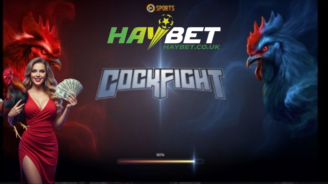 Các thể loại đá gà Haybet phổ biến