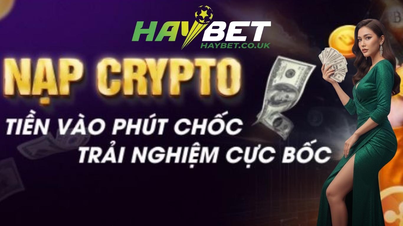 Giải đáp mọi thắc mắc Haybet có uy tín không