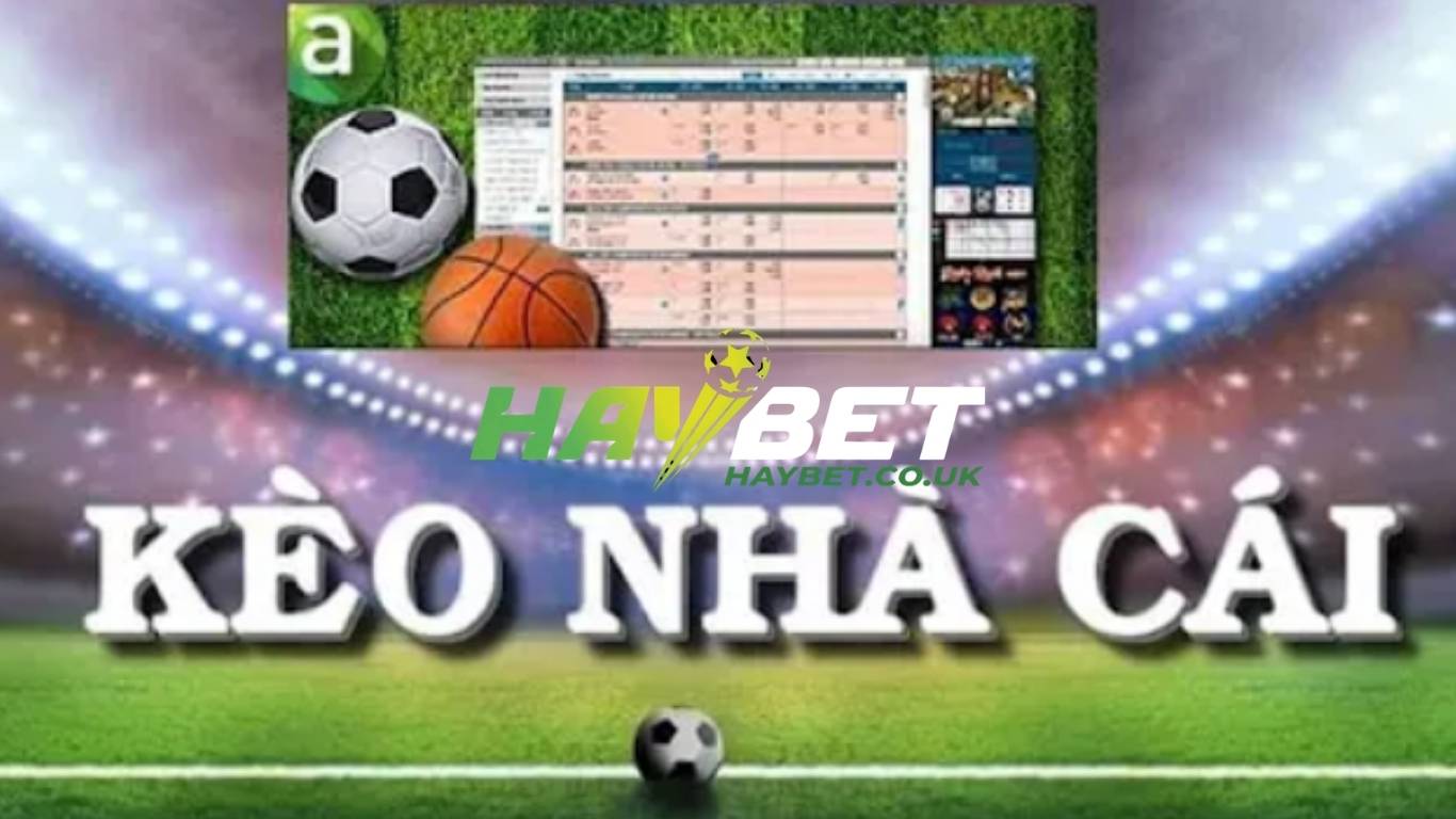 Kinh nghiệm soi kèo nhà cái Haybet dễ thắng