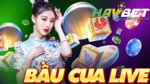 Giới thiệu về bầu cua live Haybet