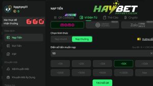 Quy trình nạp tiền Haybet nhanh chóng 